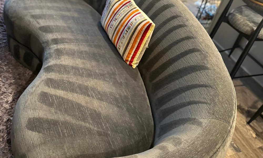 WhatsApp Image 2024-07-23 at 18.36.49